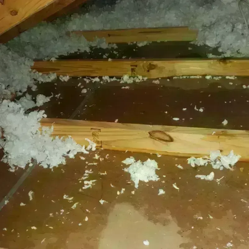 Attic Water Damage in Grand Mound, WA