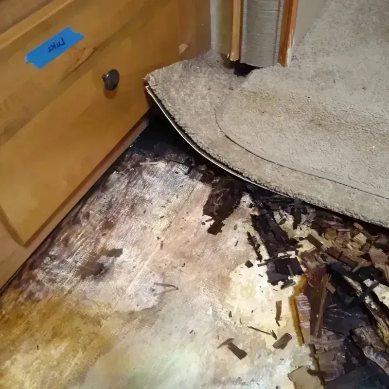 Wood Floor Water Damage in Grand Mound, WA